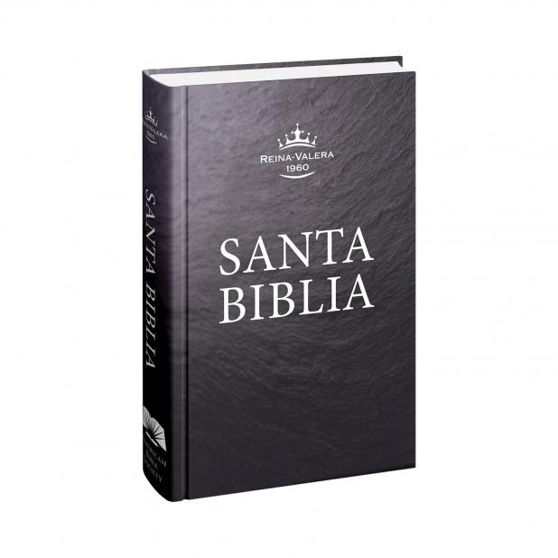 Spanish La Biblia en Un Año, Rústica, RVR 1960 (#5993) - Bible Truth  Publishers