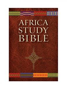Biblia de estudio de África NLT