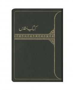 Biblia Urdu