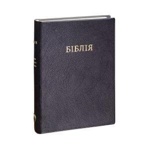 Ukrainian Bible Vinyl Cover