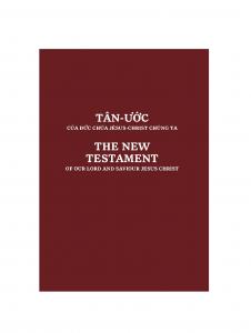 Vietnamese - English New Testament - Print on Demand  