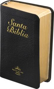 RVR60 Mini Bible
